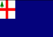 The Bunker Hill Flag